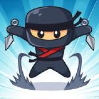 Fly High as the Ninja in an Epic Aerial Adventure